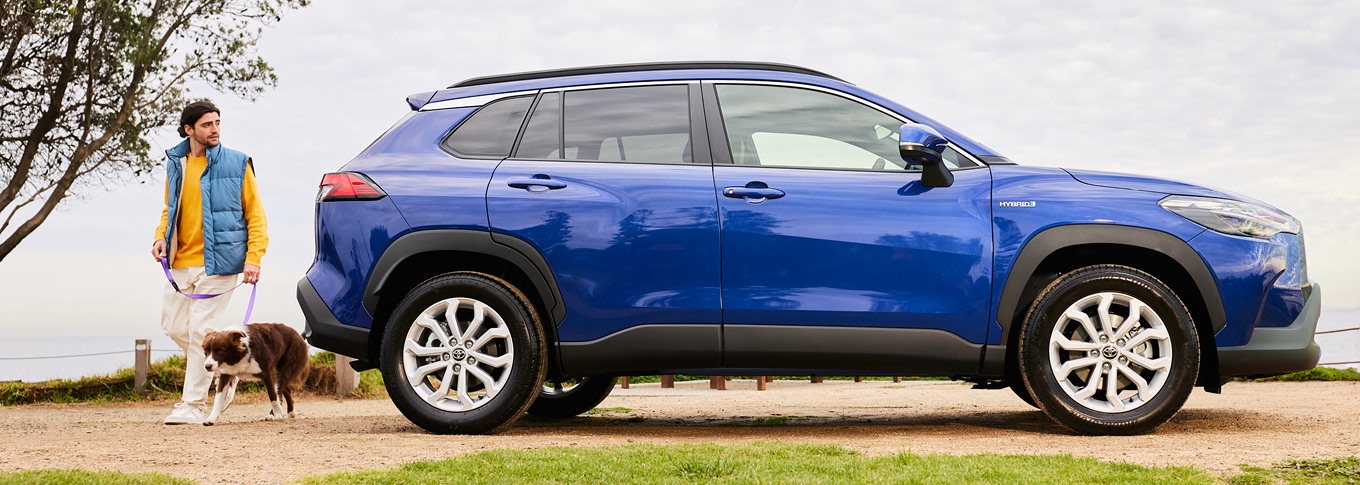 A young brunette man with a brown and white dog on a leash, walking away from a blue Toyota Corolla Cross. 