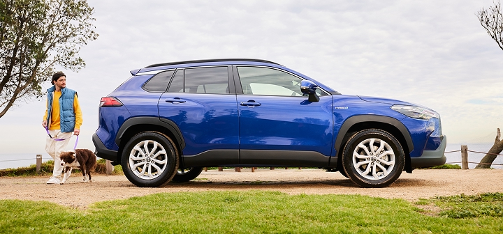 A young brunette man with a brown and white dog on a leash, walking away from a blue Toyota Corolla Cross.