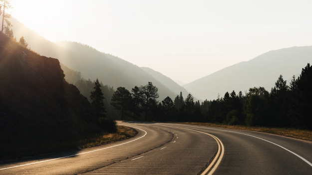 An open road at dusk, surrounded by tall pine trees.